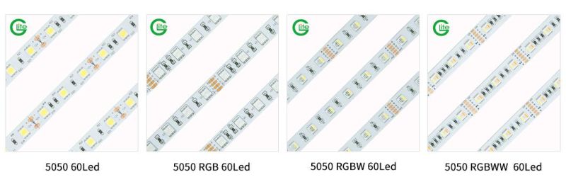 24V Flexible High CRI 5050 RGB High Efficiency DOT Free White Dimmable LED Strip Light