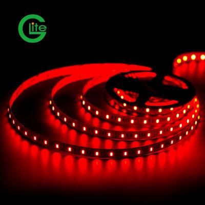 3years Warranty LED Light Strip SMD5050 Rgbww 60LED DC24 for Lighting Decoration