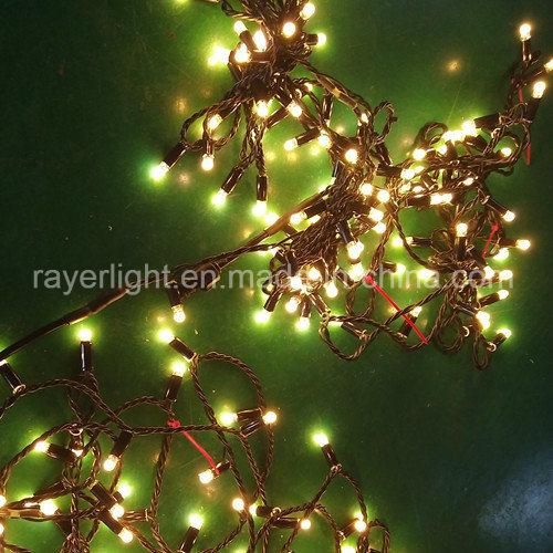 LED String Light Holiday Light LED Wedding Decoractive Light LED Curtain Light