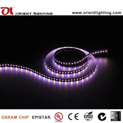 UL Ce 96 LEDs/M 6500K SMD 5060+2835 RGB+W LED Flexible Strip Light