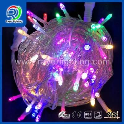 Festival Light Christmas Light Outdoor Lighting Clear Wire LED String Light