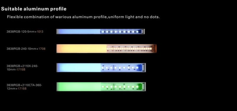 Color Temperature Adjustable 5050 60LED/M 12V/24V Strip Waterproof 12V 5m Flexible LED Strip