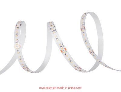 CRI 90 24V 2700-7000K High Brightness SMD 2216 LED Light Strip