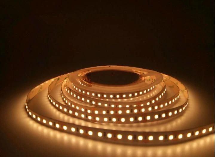 Shenzhen Manufacture 12V/24V Customized 2835 SMD Flexible LED Strip Light Indoor Decoraion LED Strip Lighting Same Bin Code LED Rope Light