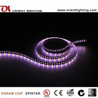 Ce UL SMD 5060+2835 RGB+W LED Flexible Strip Light