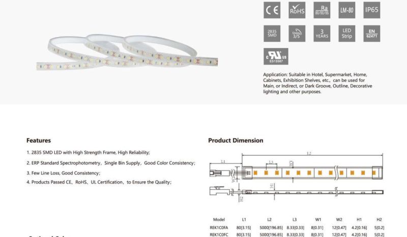 12V/24V 120LEDs IP65 Waterproof LED Strip Light for Outdoor Lighting