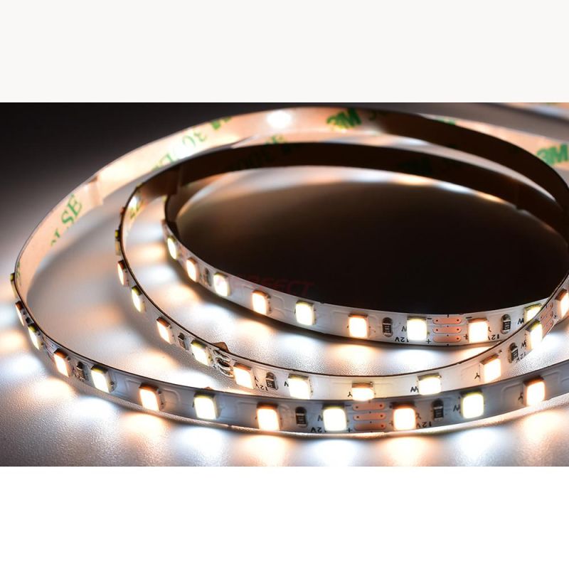 Ultra Thin 5mm SMD2835 CCT LED Multi-White Ribbon LED Strip 12V 24V Dual Color Adjustable LED Light Strips