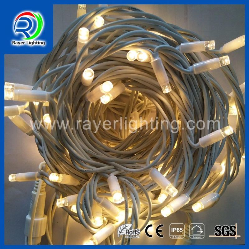 LED Decorative String Light LED Holiday Decorative Lighting LED Garden Decoration