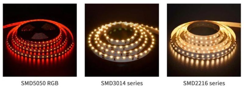 SMD2835 Waterproof Flexible Strip Blue Color Lighting LED Strips