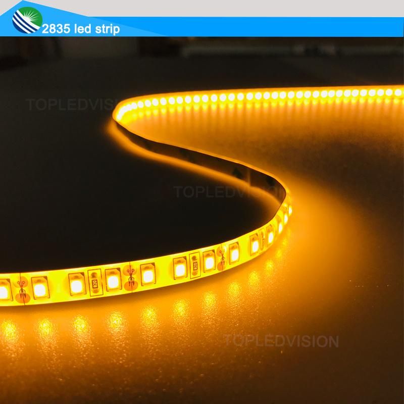 LED Lighting Decoration SMD2835 Flexible LED Light Strip 12V 24V DC for Indoor/Outdoor Environment