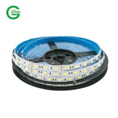 3years Warranty SMD5050 60LED DC24 Single Color Strip for Lighting Decoration