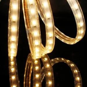 ETL Outdoor 50m/Roll Flex Rope Light LED Strips 120V 5630