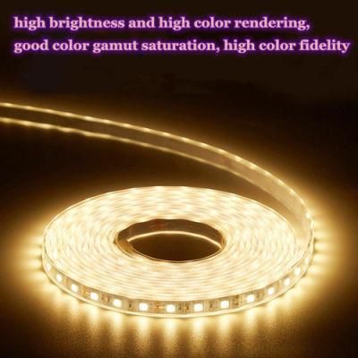 Rg&gt;98 Full Spectrum LED Strip for Education Lighting