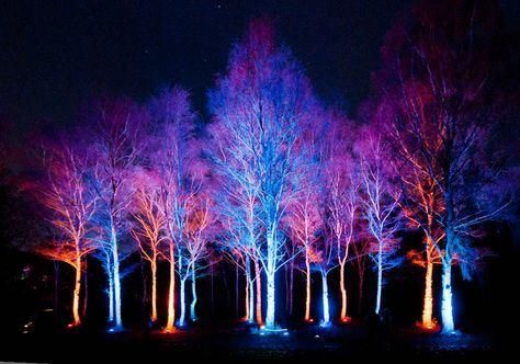 Outdoor Street Tree Light Decoration Smart Christmas Wrapped Tree Lighted Branches Lighted Trees