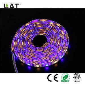 DC12V 3m IP65 Smart Bluetooth High Brightness SMD 5050 Rgbww 30/60/120LEDs Flexible LED Strip Light