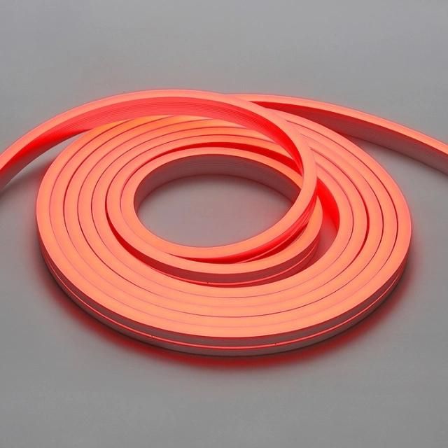 Customized Christmas Lights Outdoor Home Decoration Lighting LED Light Strip