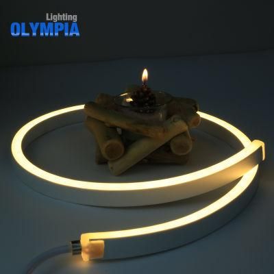 Waterproof 24V LED Flexible Neon Rope Light