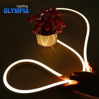 Ce RoHS IP68 Waterproof LED Shower Rope Light