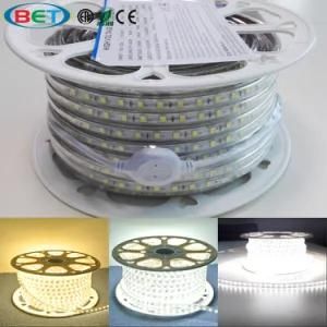 120V Outdoor Christmas 60LED/M 5050 Rope Lighting Flex LED Strips