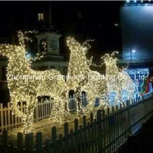 LED Xmas Lights for Decoration and Illumination