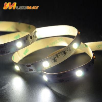 Good quality and stable performance 5050 LED tape with CE FCC RoHS certification