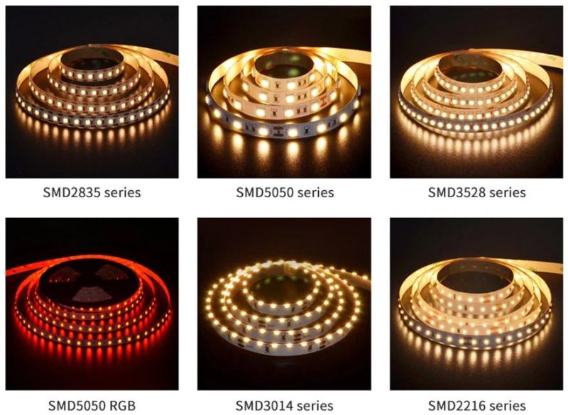 24V Flexible High CRI LED Light Strip Warm White SMD3528 4.8W Dimmable LED Strip Light