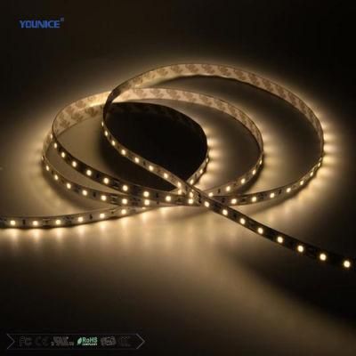 200lm/W High Efficiency DC24V SMD2835 Decorative Lighting LED Flexible Strip