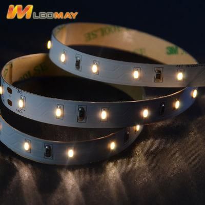 SMD3014 60LEDs/m DC24V 10mm LED Strip with High Quality