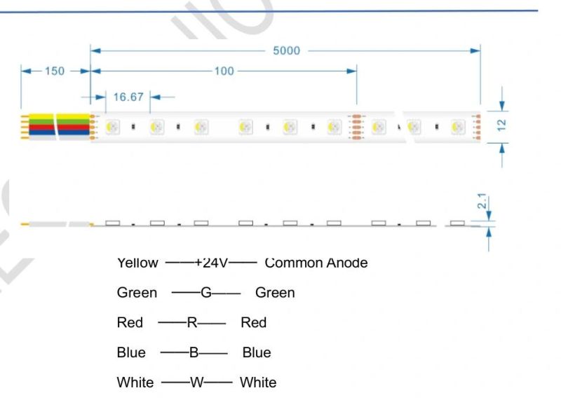 TUV-CE, UL Approved 24V 60LED 5050 RGBW 4 -in-1 LED Flexible Tape Strip