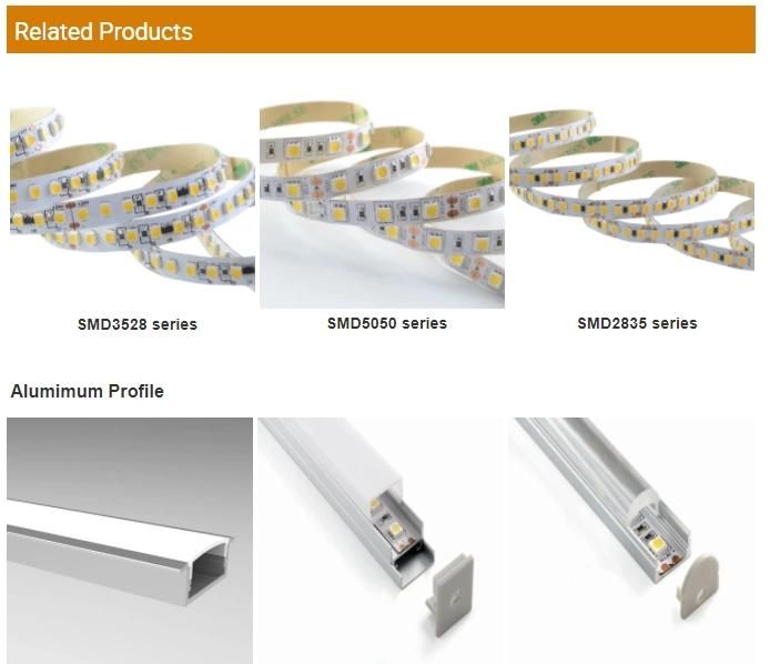 Popular 12V LED tape IP20 120LED/m SMD3528 LED strip