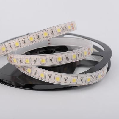 Hot Selling LED Light Strip SMD5050 60LED Ra80 LED Strip DC12 Waterproof Strip