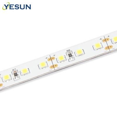 Decoration Lighting IP65 Waterproof Strips SMD2835 12V/24VDC 14.4W/M Flexible Roll Light Strip