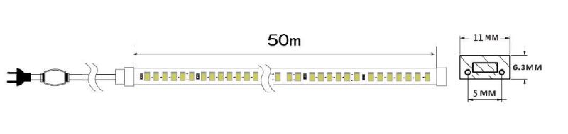 High Voltage Waterproof IP65 220V 120LEDs/M LED Rope Light