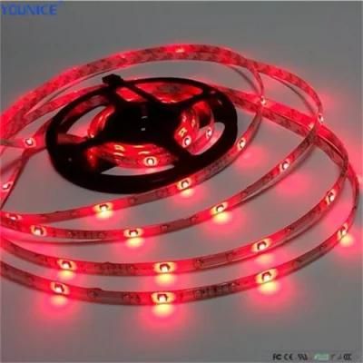 14.4W 10mm Width 60LEDs/M SMD5630 LED Flexible Tape Strip