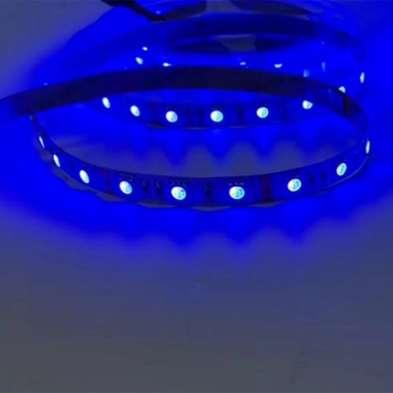 in Stock 5050 RGB DC12V 14.4W/M 60LEDs/M LED Flexible Tape Light LED Strip