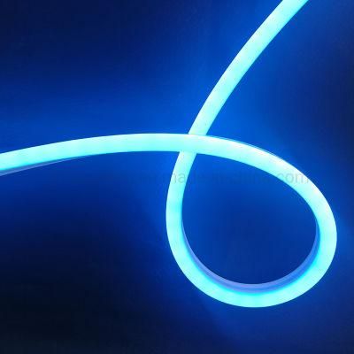 High Efficiency Neon Light Positive Lighting DC24V Outdoorip67 LED Light Strip