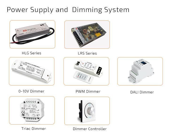 Competitive Price Flexible LED Strip SMD3528 24V