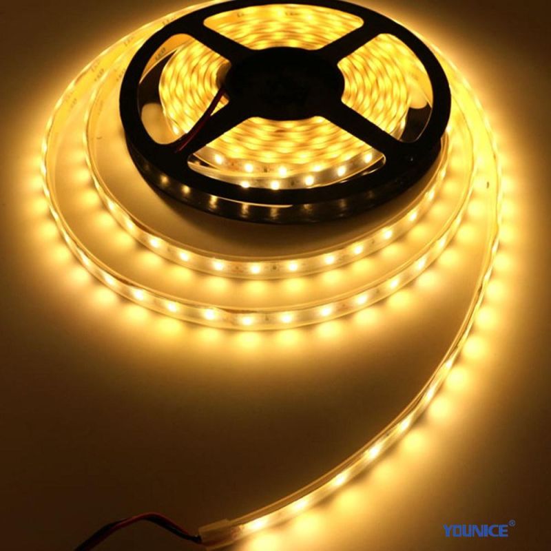 Withstand High Temperature and High Humidity LED Flexible Strip