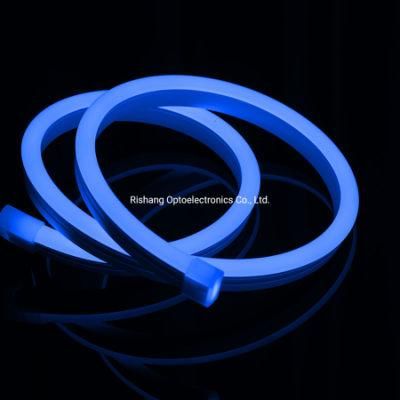 Custom Decorative Flex Neon Silicone Tube LED Neon Sign Light