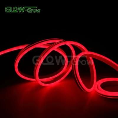 IP65 Waterproof Dimming Lighting 8*16mm RGB LED Dream Neon Flex Light