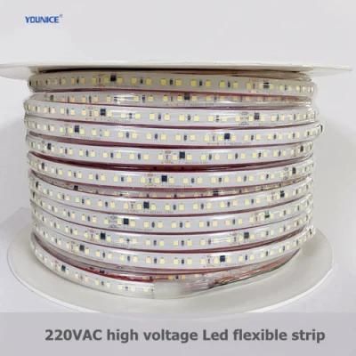 High Voltage AC220V LED Flexible Tape Light Strip