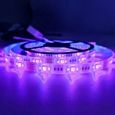 High Performance Good-Looking Advanced Design Multi-Function LED Rope Light From China Leading Supplier