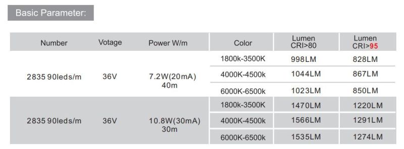 90 LEDs/M SMD2835 IC-Bulit-in LED Light Strip for Decorative LED Lighting