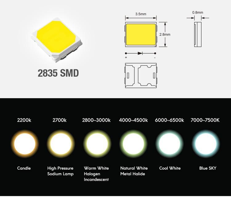 3years Warranty LED Strip Light SMD2835 120LED 10W Ra90 LED Strip DC24 White Color Strip LED Light