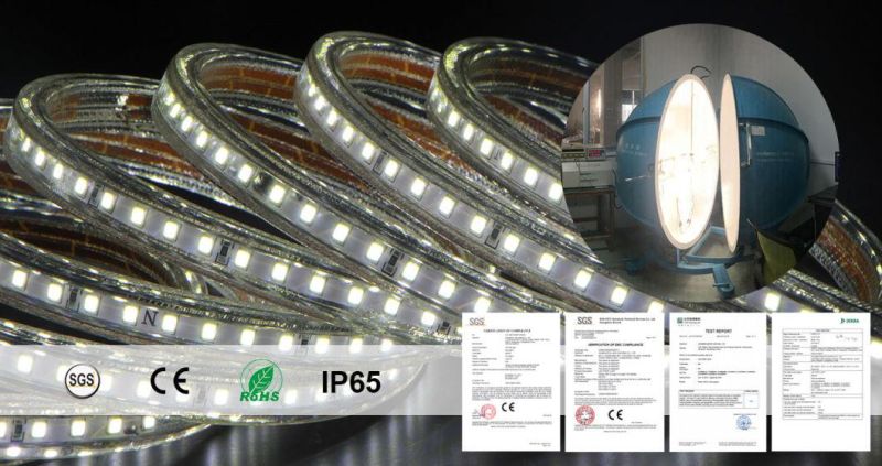 Ce RoHS LED Strip Light LED Rope Light LED Ribbon 10m Roll 25m Roll 50m Roll Package