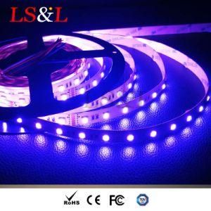 5050SMD LED Strip Light RGB+White+Warm White Indoor Decoration Lighting