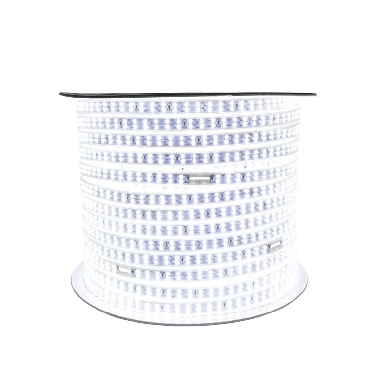 Alva / OEM 8mm 10mm 12mm 220-240V IP65 Strip Light with High Quality