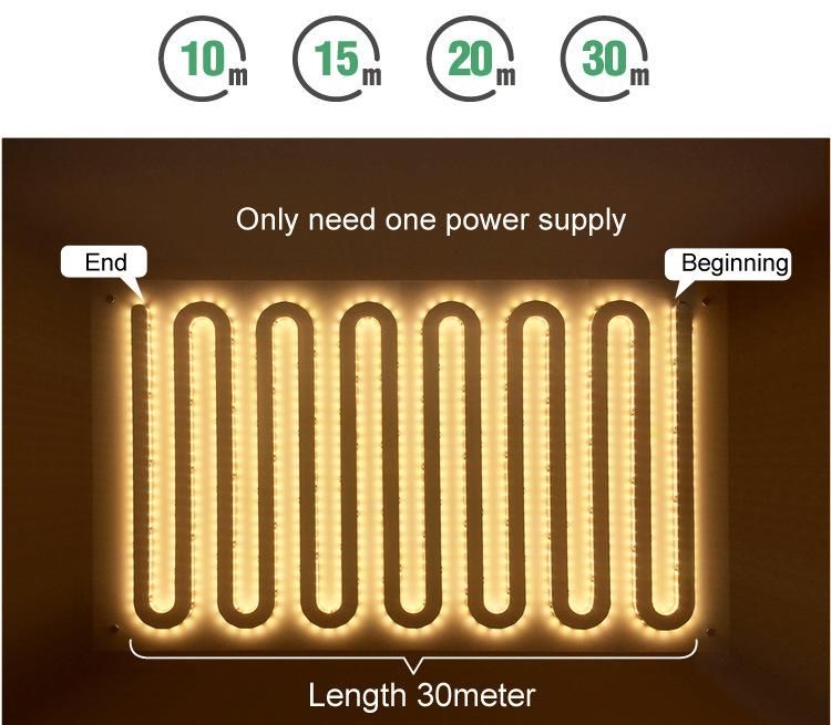 CRI> 80 LED Strip, IC Built-in Programmable Lighting Without Resistor12V 24V 36V 2835SMD Max 50m Length LED Strip