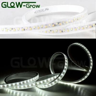 230V Dual Color 2 Chips SMD 2835 LED Strip Lamp for Outdoor House Home Decoration