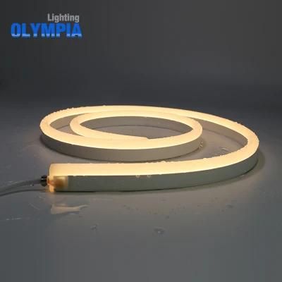 SMD5050 Slim LED Neon Flex Underwater Lighting